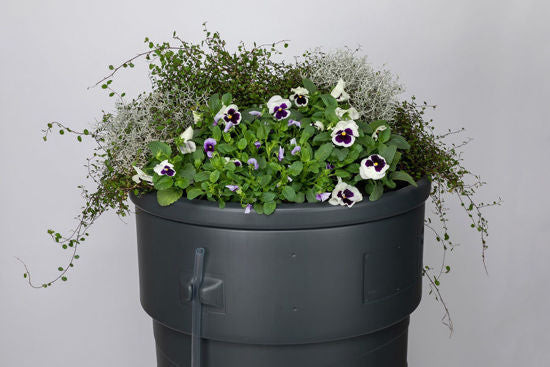 Planter Water Butt 320 litre Grey