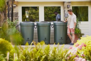 How to Compost for Beginners: Which Compost Is Best for Me?