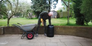 July in the Garden: Peak Growth, Pure Enjoyment